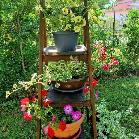 Ema Apartman Póla