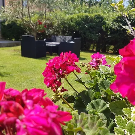 Apartman Ema Póla