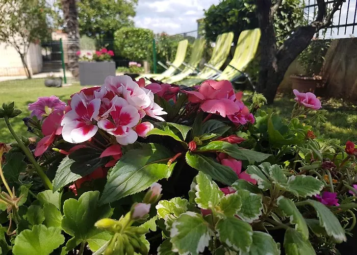 Διαμέρισμα Ema