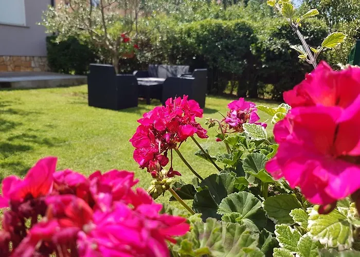 Διαμέρισμα Ema Πούλα